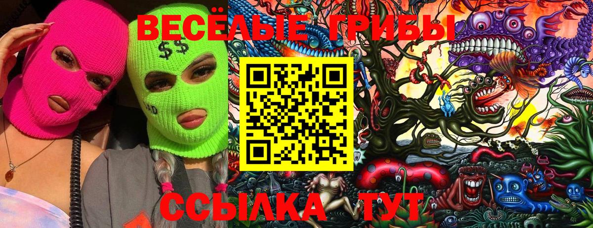 Унеча  Псилоцибиновые грибы MAGIC MUSHROOMS  Вход с VPN 