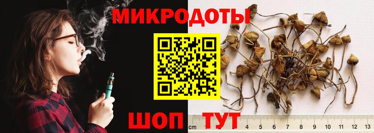 Галлюциногенные грибы Magic Shrooms Унеча